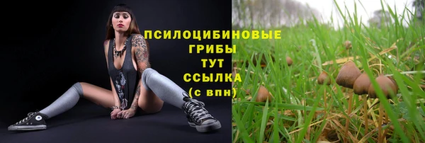 круглые Новокубанск