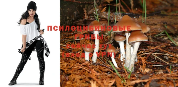 круглые Новокубанск
