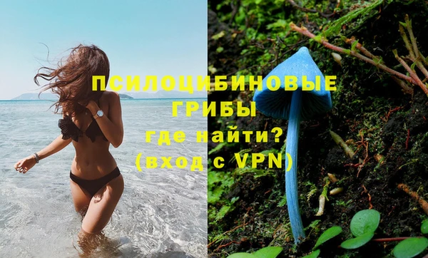 круглые Новокубанск