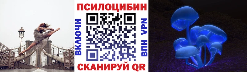как найти закладки  Алдан  Галлюциногенные грибы мухоморы 