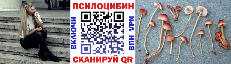 Галлюциногенные грибы Magic Shrooms Алдан